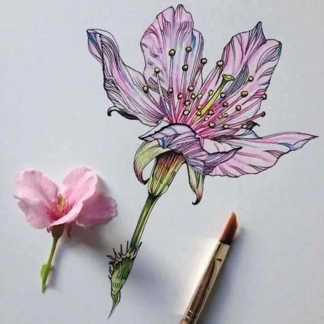 ͼƬ